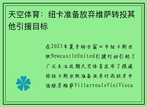 天空体育：纽卡准备放弃维萨转投其他引援目标