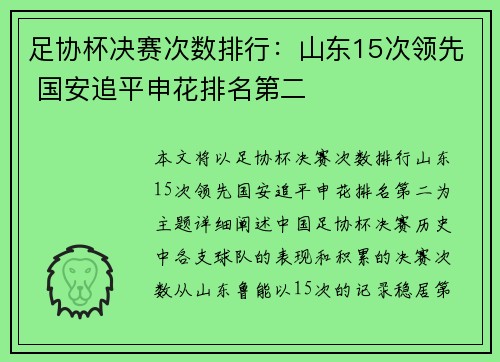 足协杯决赛次数排行:山东15次领先 国安追平申花排名第二
